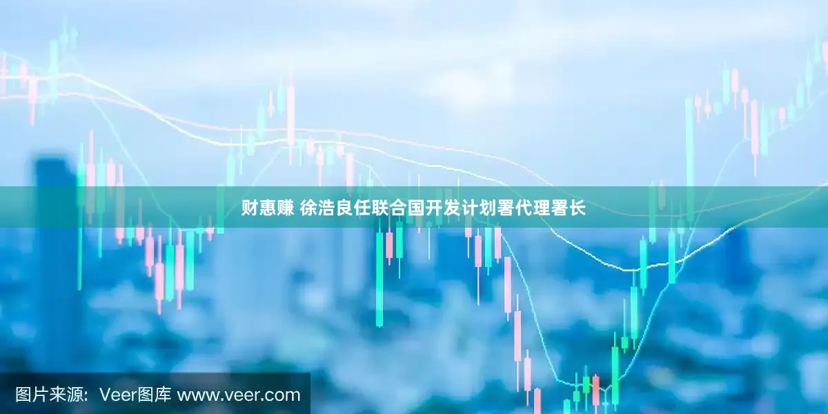 财惠赚 徐浩良任联合国开发计划署代理署长