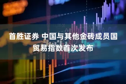 首胜证券 中国与其他金砖成员国贸易指数首次发布